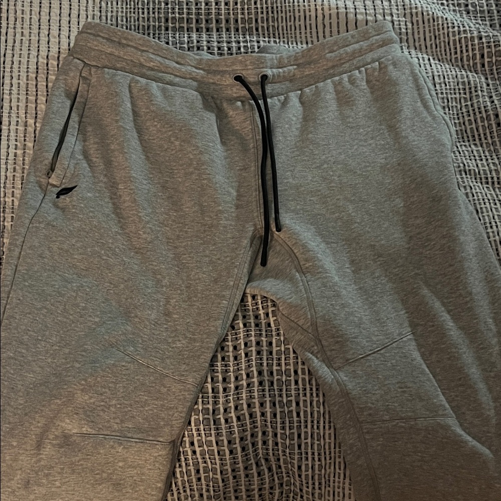 Fabletics Gray Men's Joggers
